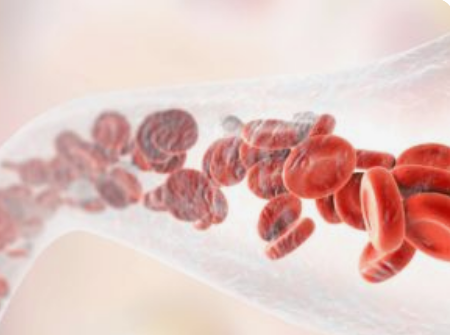 아르기닌-효능-혈관