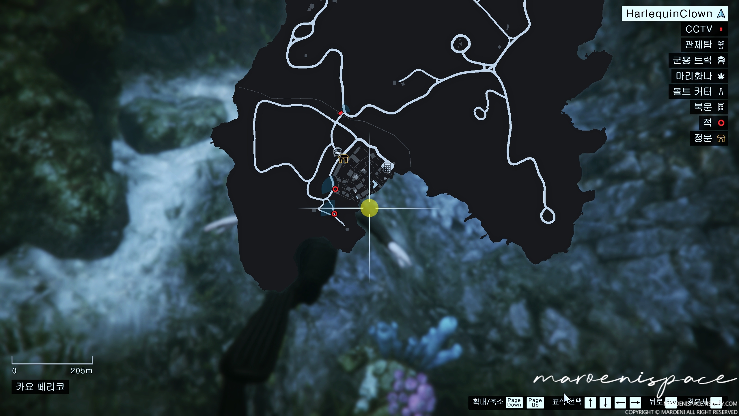 카요 페리코 습격