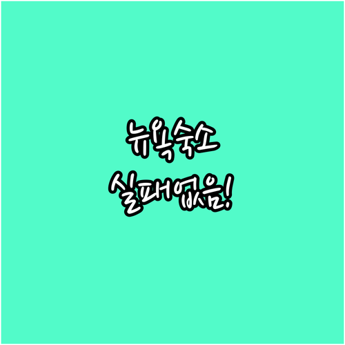 뉴욕 숙소 추천 위치별 호텔 비교와 ..