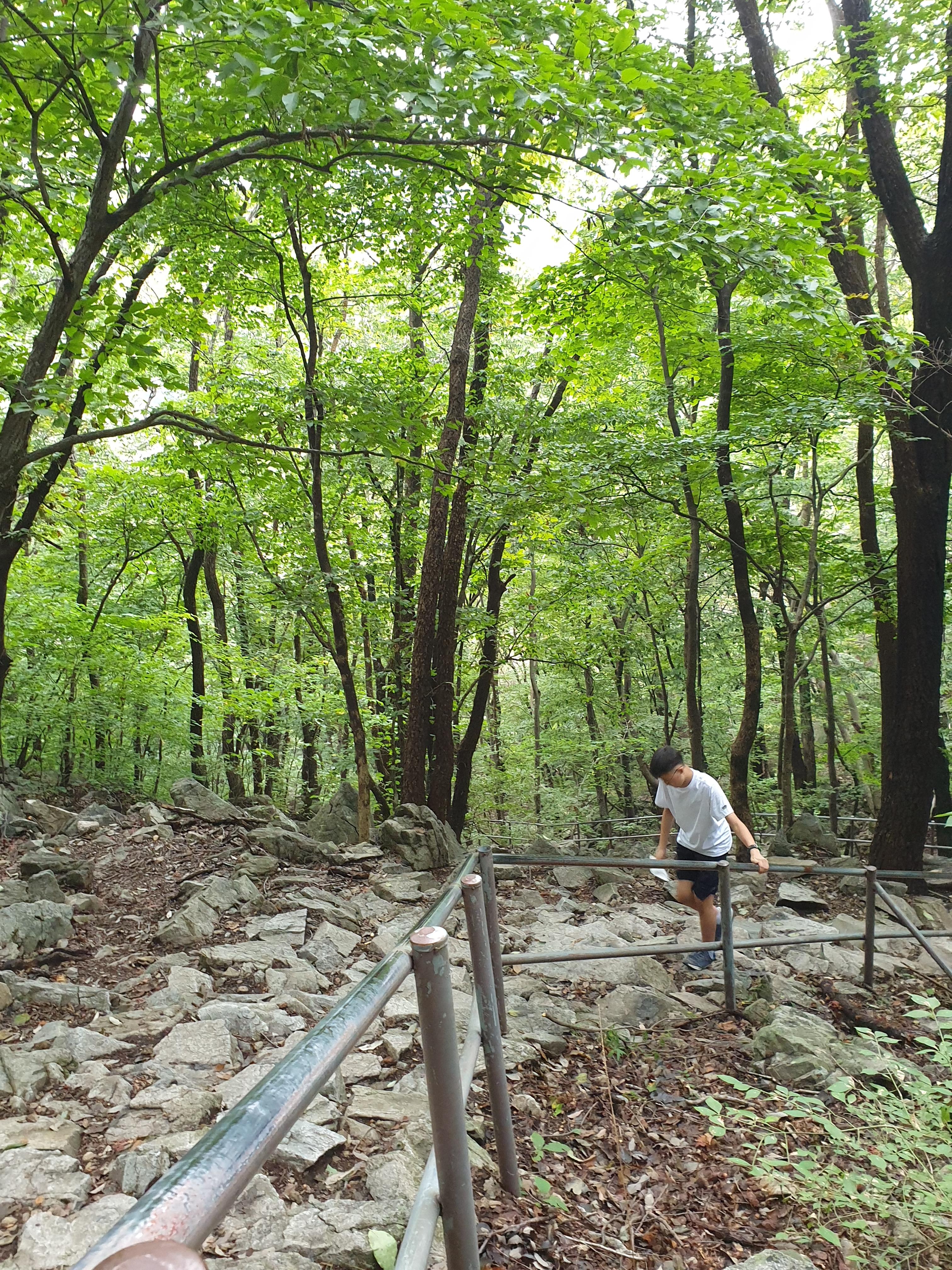 계룡산 남매탑 가는 등산로