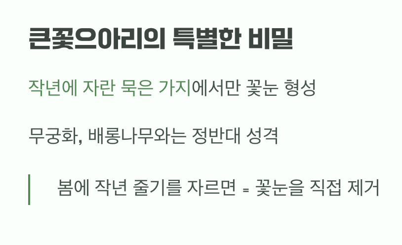 가장 중요한 비밀, '작년 가지'에서 피는 꽃