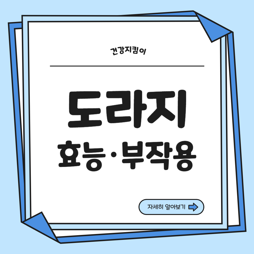 도라지 효능 부작용 고르는법 먹는법 꽃 총정리