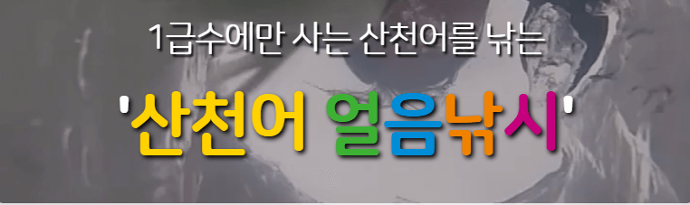 화천 산천어축제 예약, 주차 안내, 입장료, 주변 볼거리 추천