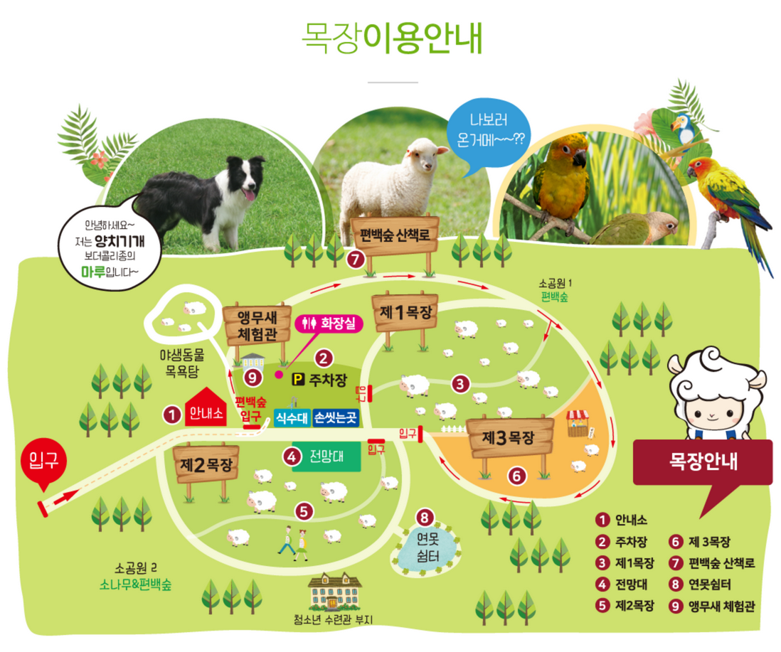 상상양떼목장 편백숲 지도