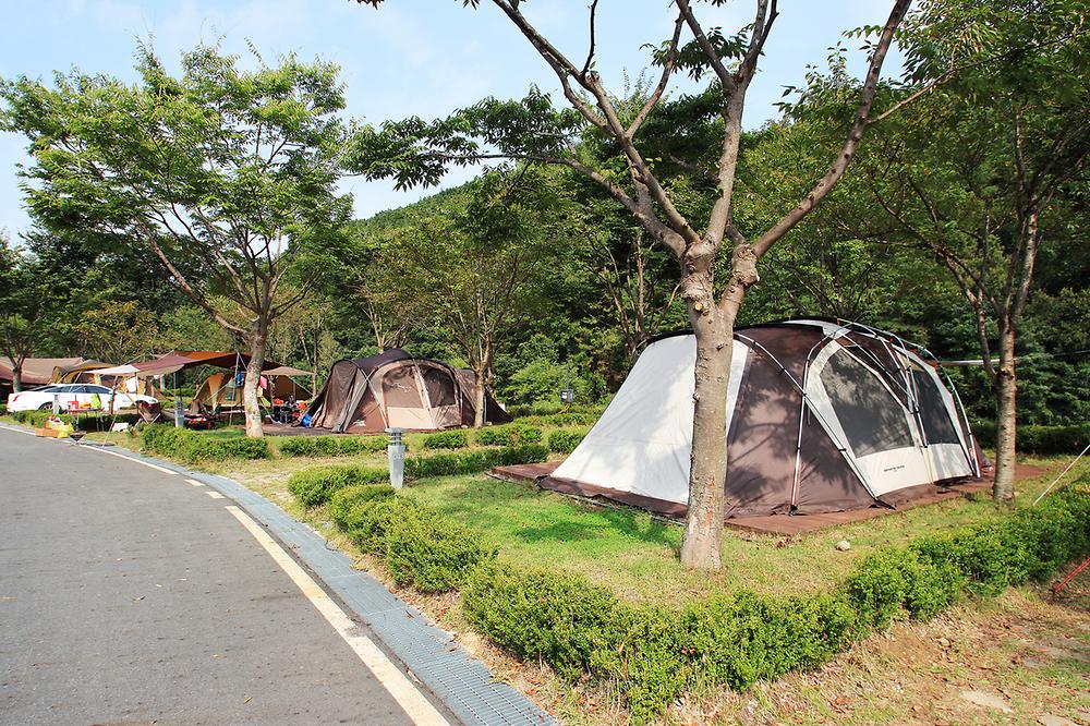 충청남도 금산군 인삼골오토캠핑장 소개