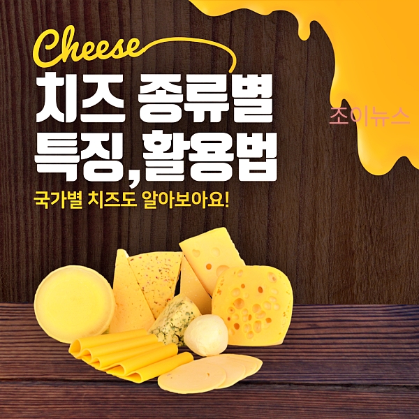 치즈 종류별 맛(특징)과 활용법