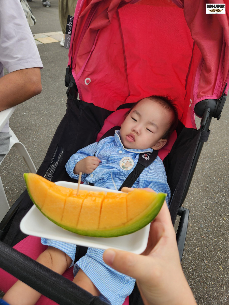 유바리멜론을 10개월 아기가 쳐다보고 있는 모습