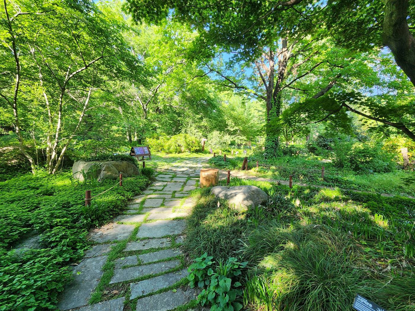 포항 기청산식물원