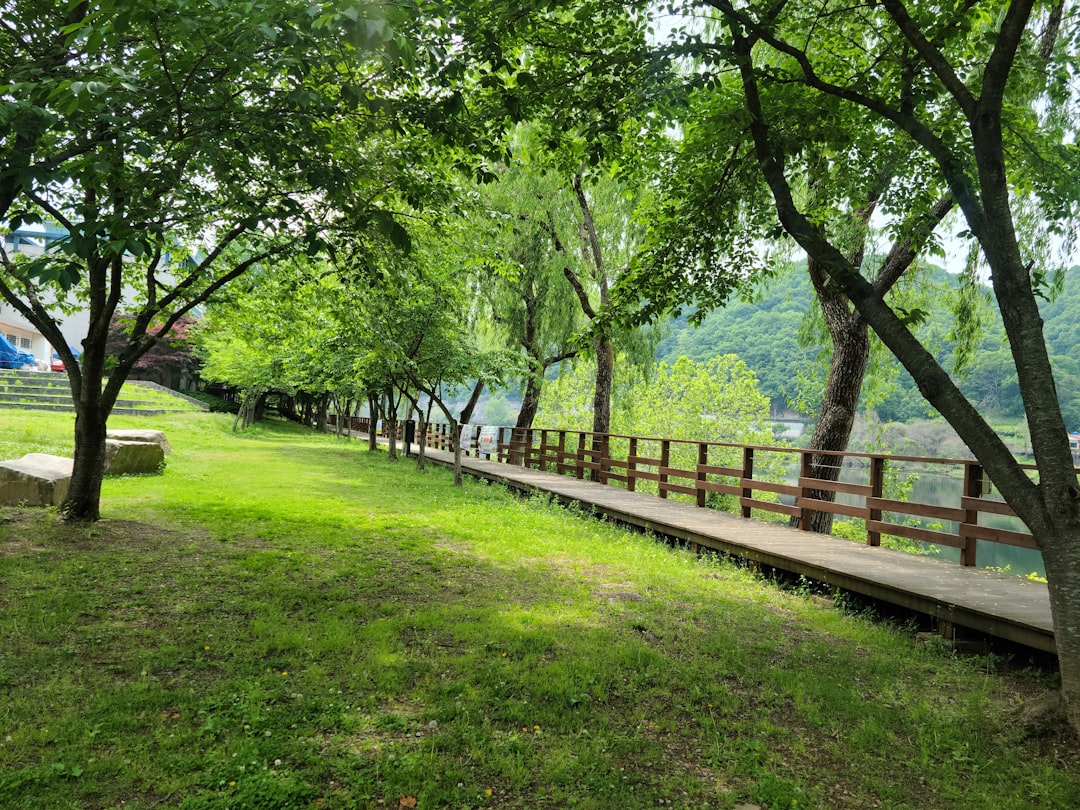 Daejeon
