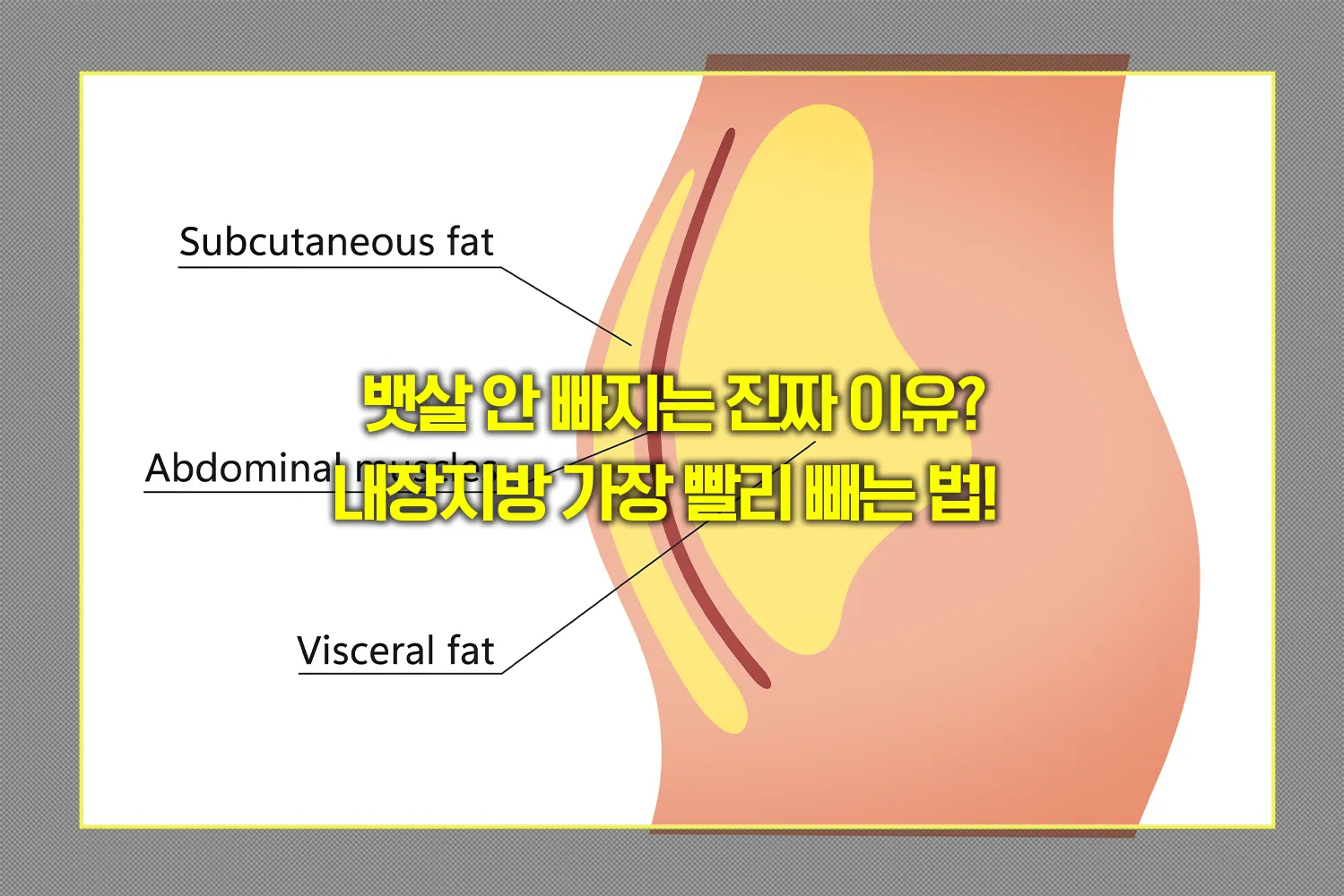 뱃살-내장지방-빼는법-인슐린저항성