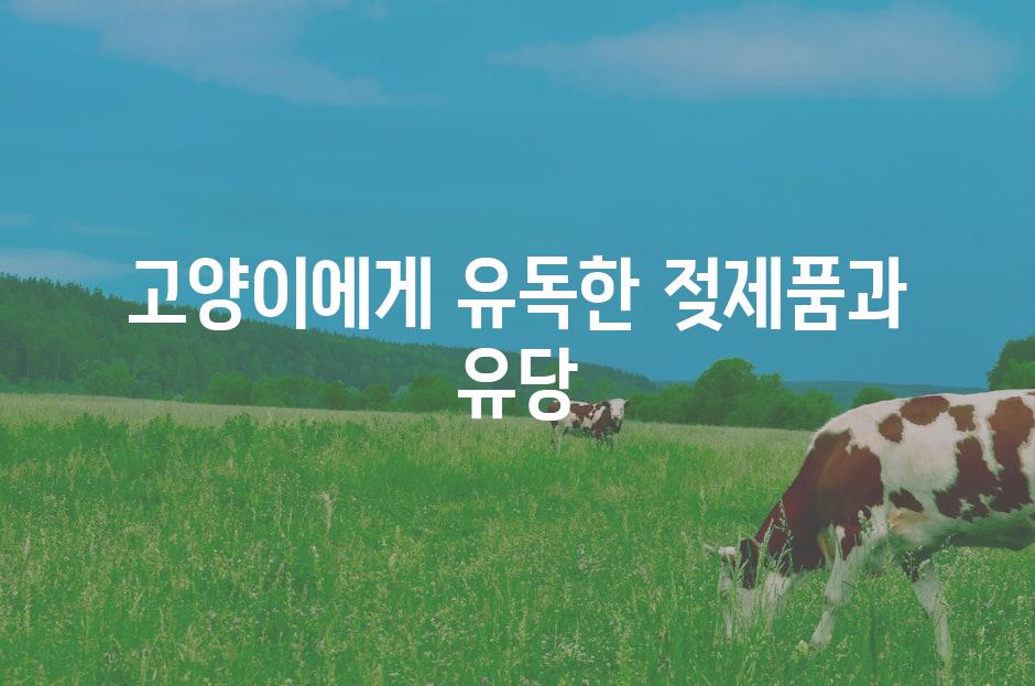 고양이에게 유독한 젖제품과 유당