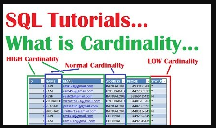 카디널리티(Cardinality)와 선택도(Selectivity)에 대한 이해 썸네일