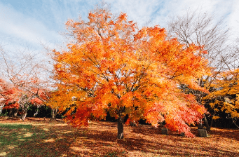 2023λ
λ¨νμκΈ° μμΈ‘μ§λ