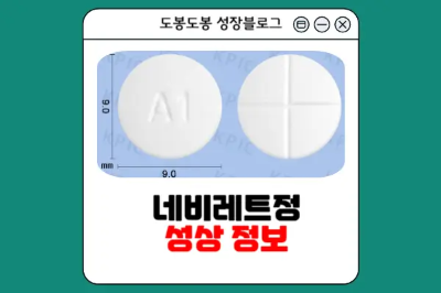 네비레트정 성상 정보 이미지