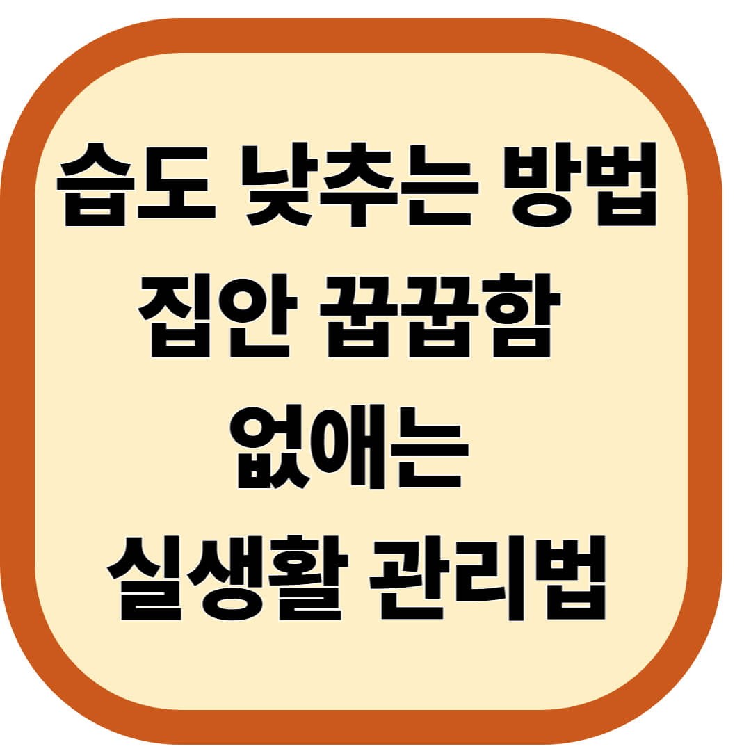 습도 낮추는 방법