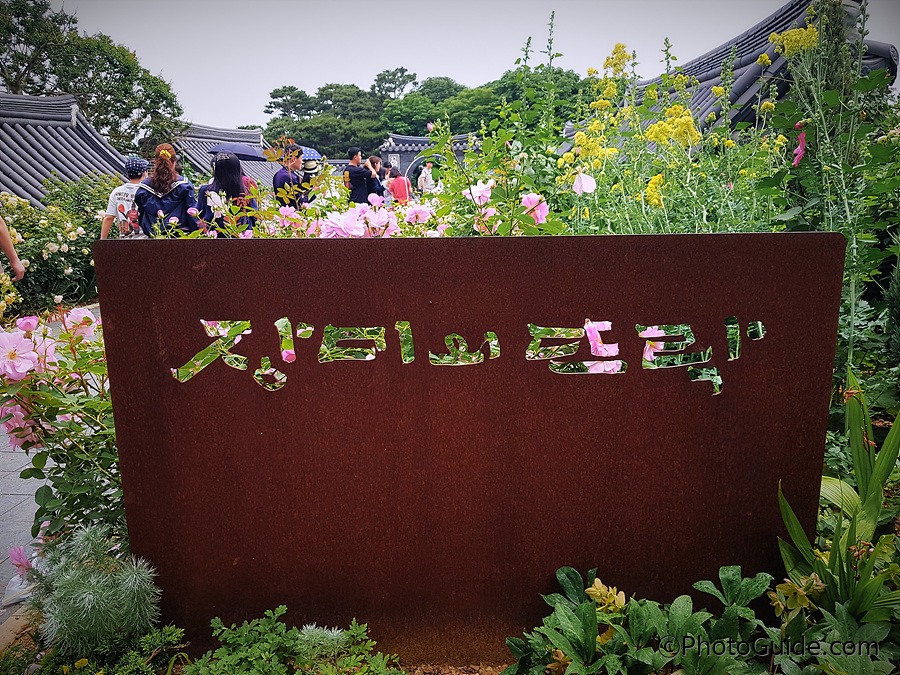 장미의뜨락