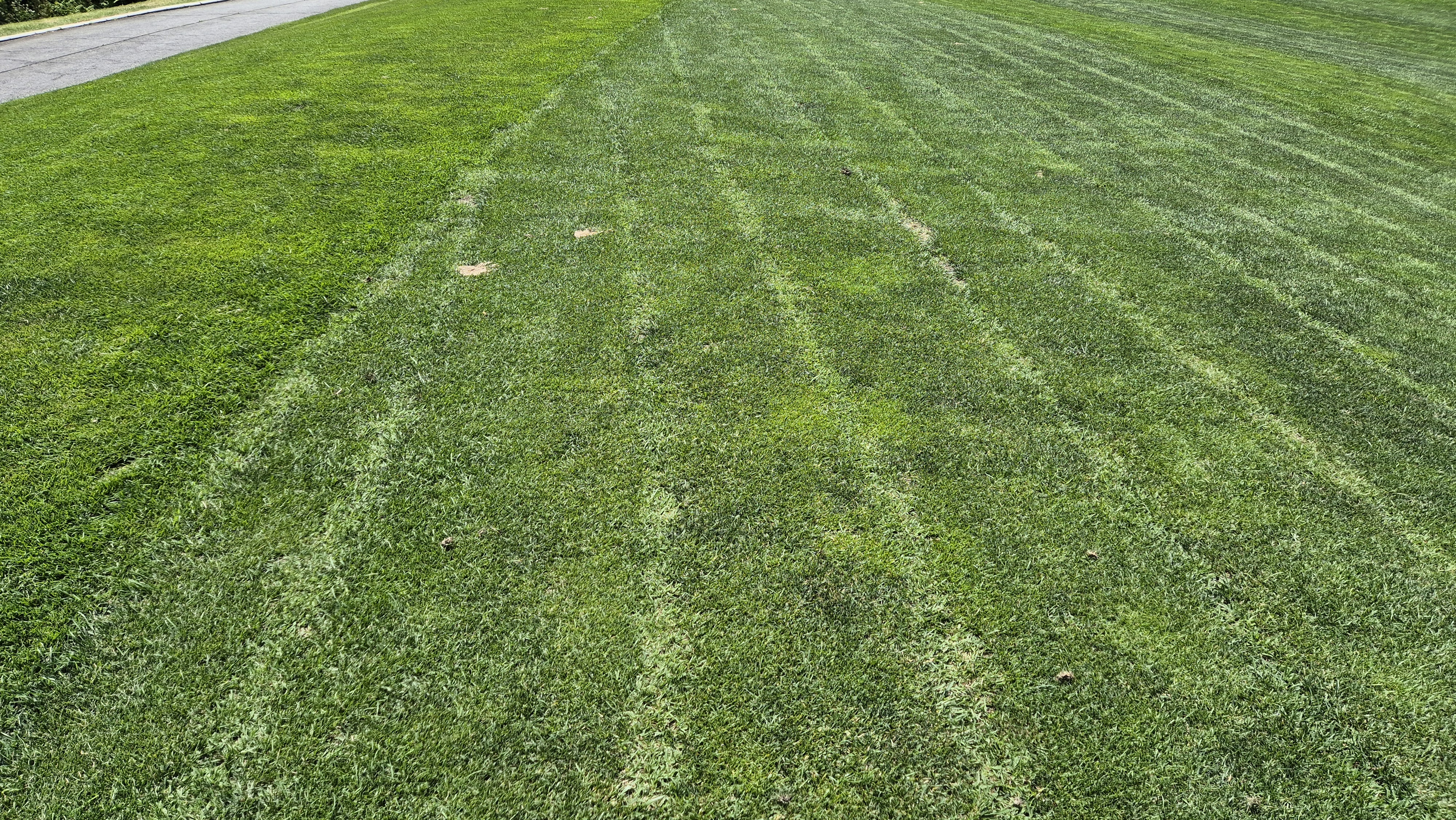 샤인데일cc 라운드 후기