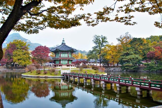 경복궁 주변 나무와 물