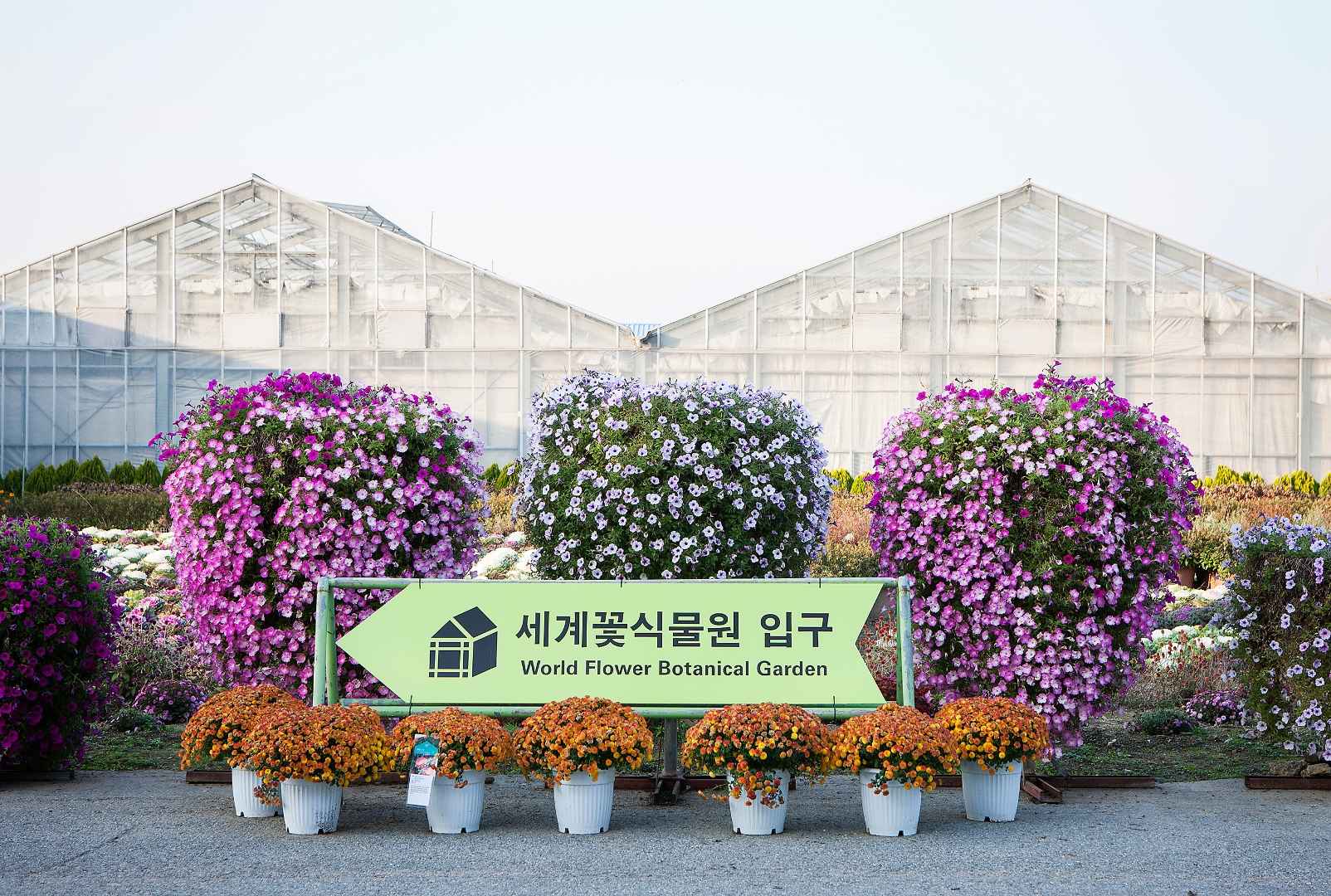 세계꽃식물원