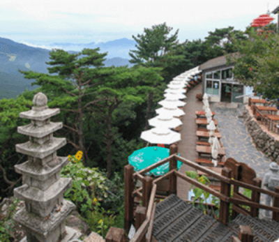 팔공산 케이블카 예약