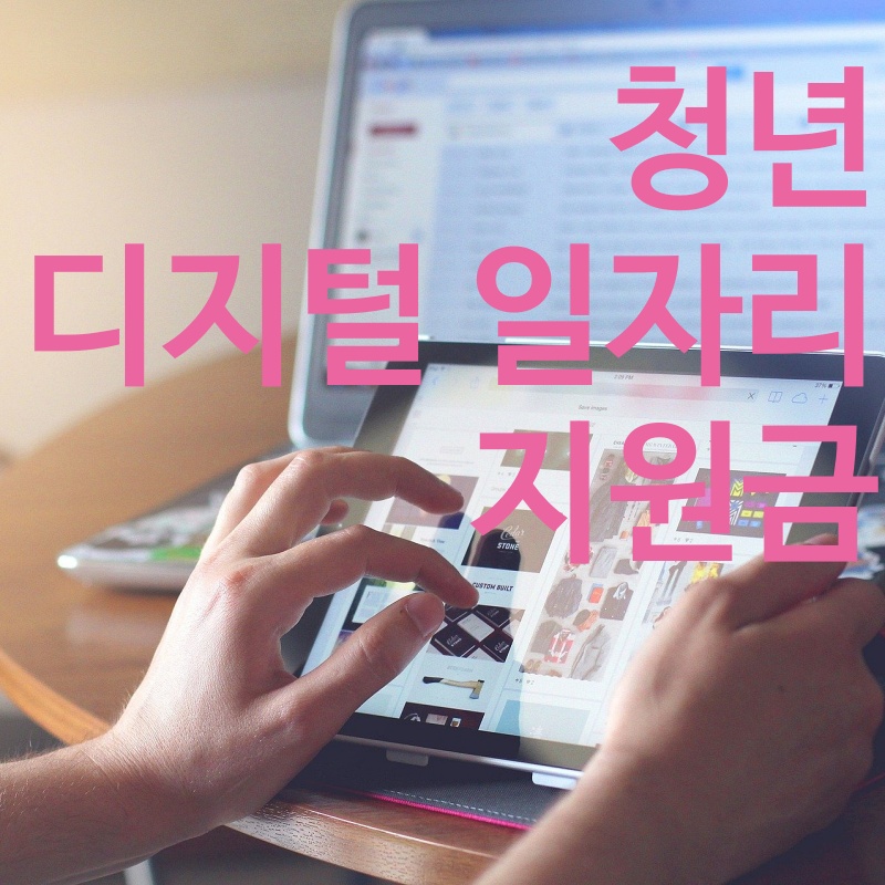 청년 디지털 일자리 지원금