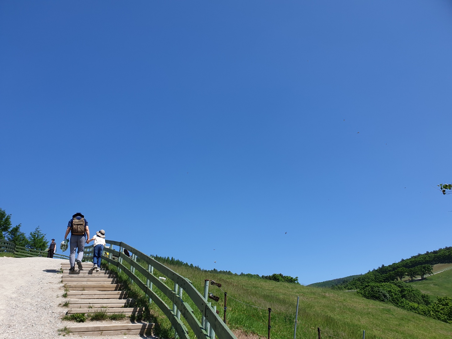 강원도 평창 가볼만한 곳 6