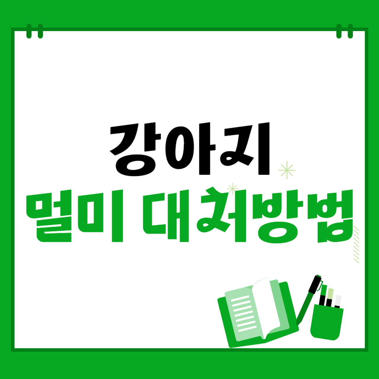 강아지 멀미약, 강아지 여행 자동차 멀미 대처방법 알아보기