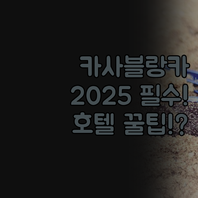 카사블랑카 숙소 추천 2025 최신 ..