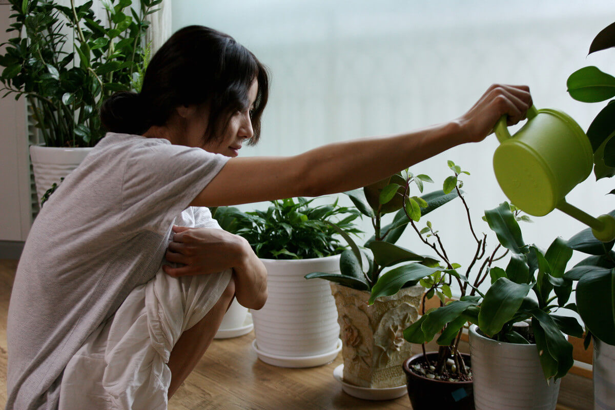 한강 원작 영화 재개봉