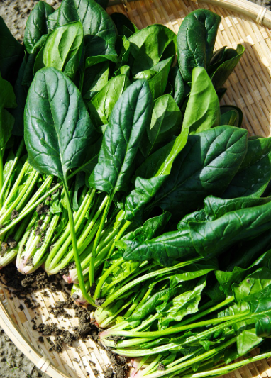 지방간에 좋은 음식