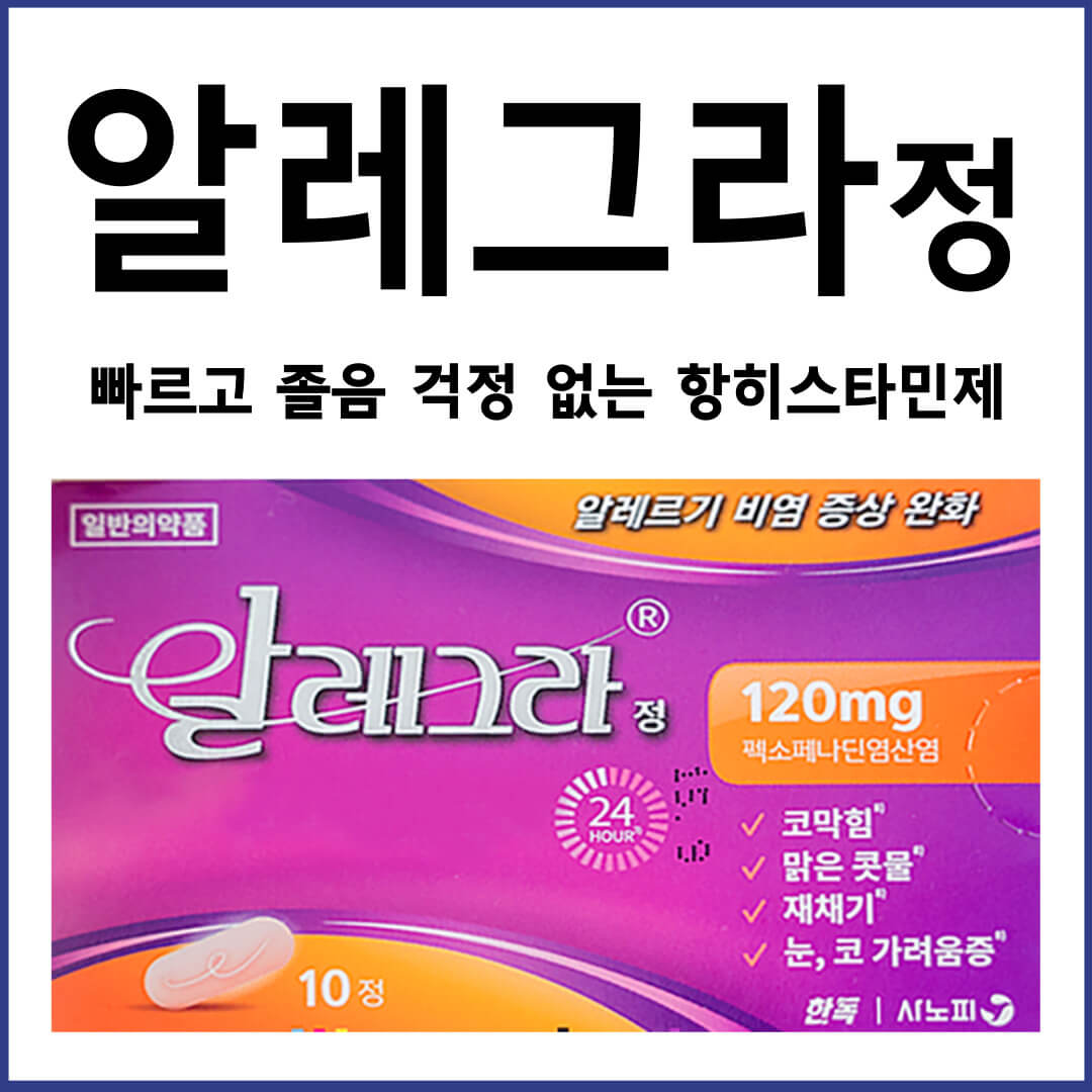 알레그라정
