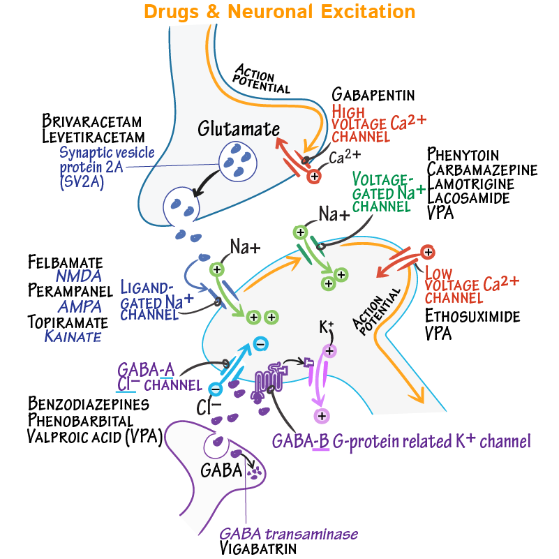 항간질제 주요 작용 그림