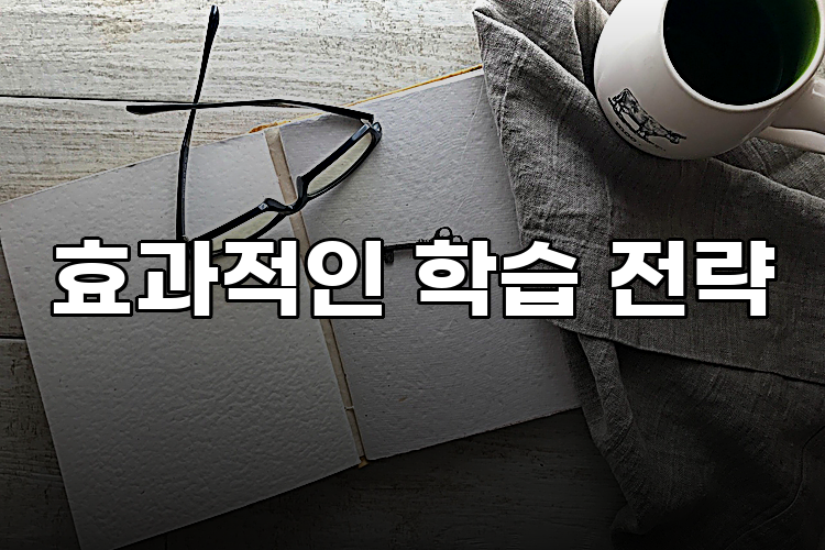 효과적인 학습 전략