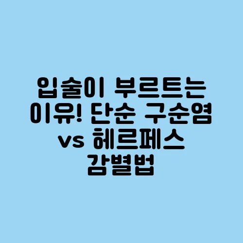 입술이 부르트는 이유! 단순 구순염 vs 헤르페스 감별법