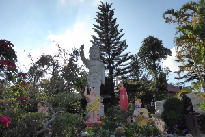 골든 붓다 사원