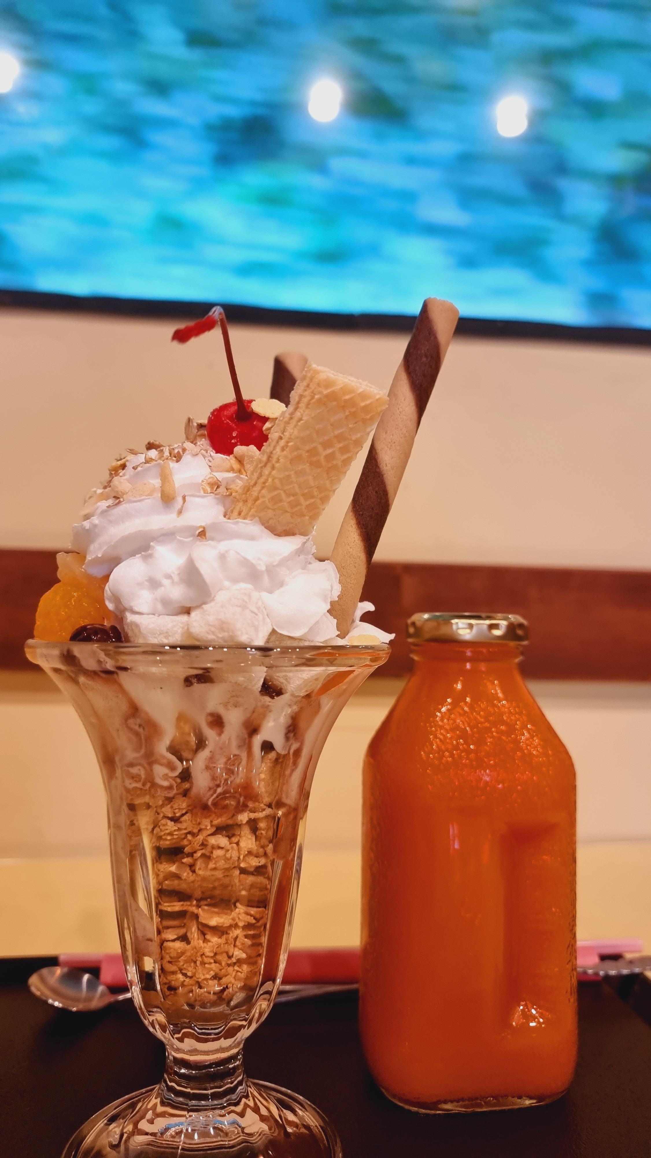 제주 이색 카페 비밀역 서귀포 카페