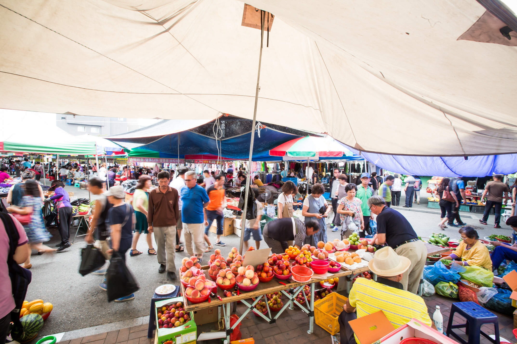 양평 5일장 장날 일정