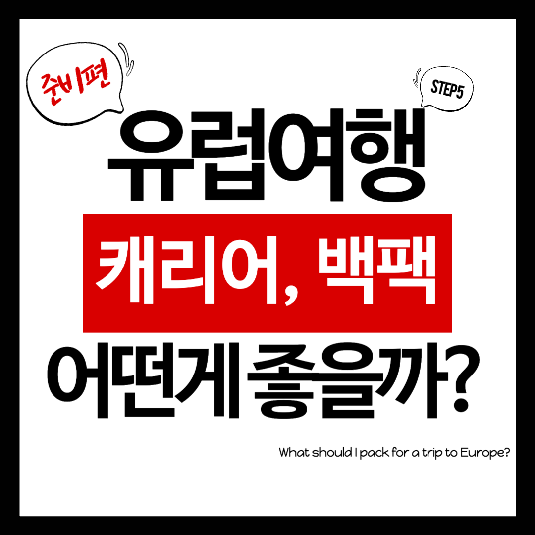 유럽여행 캐리어, 백팩 뭐가 좋을까?