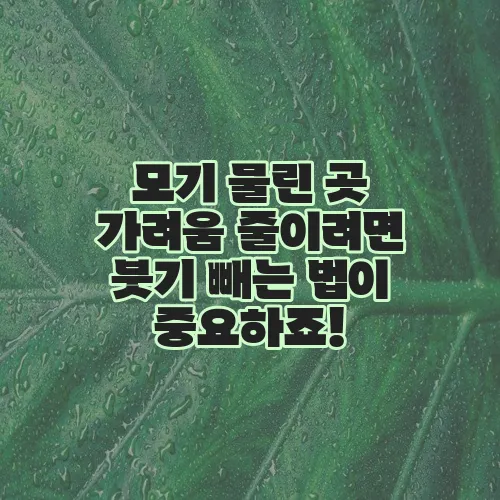 모기 물린 곳 가려움 줄이려면 붓기 빼는 법이 중요하죠!