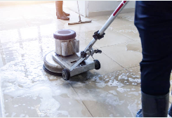 러브버그 퇴치방법5