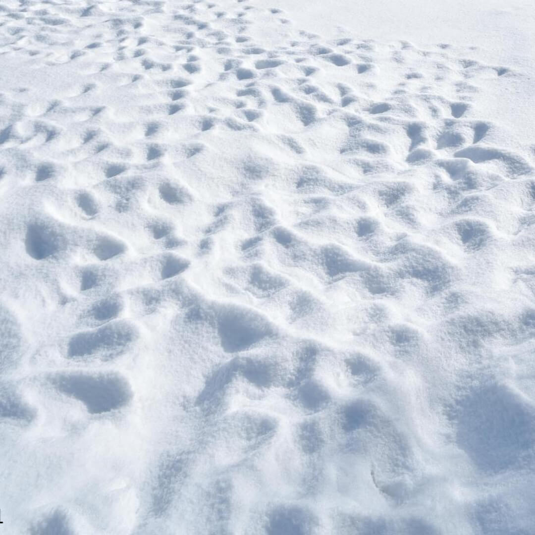 2025년 블랙아이스 대처법&amp;#44; 사고 방지