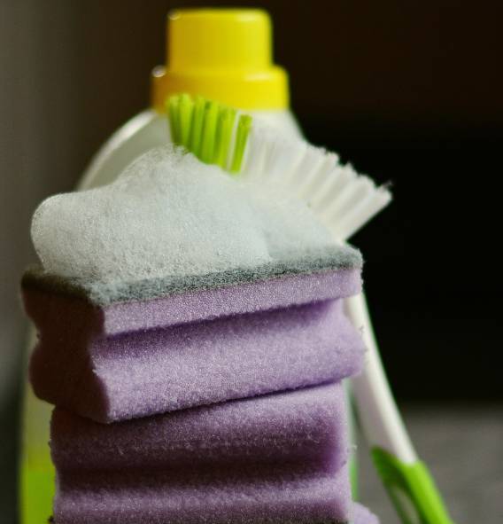 장마철 곰팡이 제거 방법