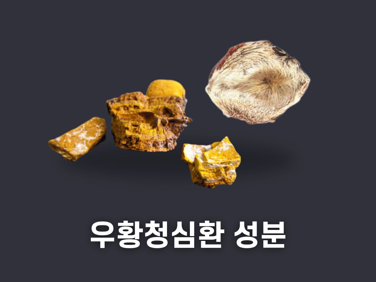 우황청심원 성분