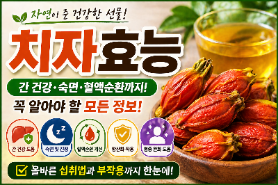 치자 효능과 섭취시 주의사항과 먹는 방법