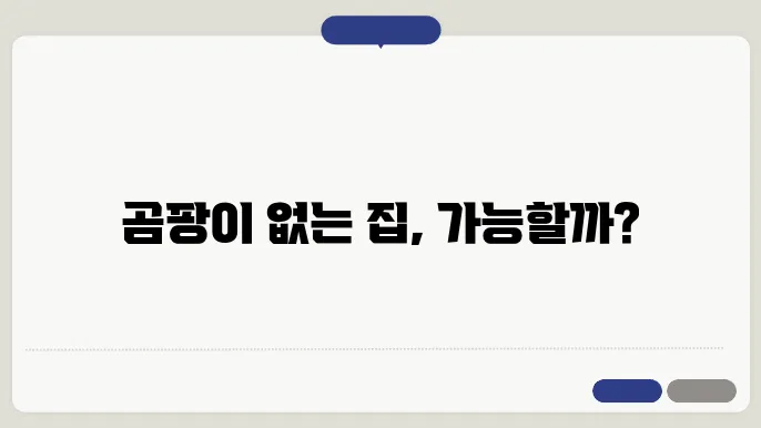 전문 곰팡이 제거제