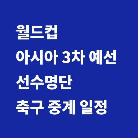 월드컵 축구 중계