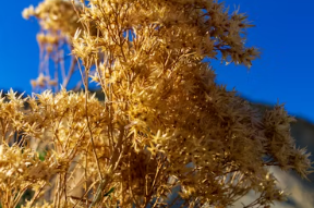 2025년 국민연금 요율 물가상승률