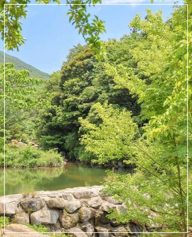 완도 가볼만한곳 베스트10 완도수목원(국립난대완도수목원)