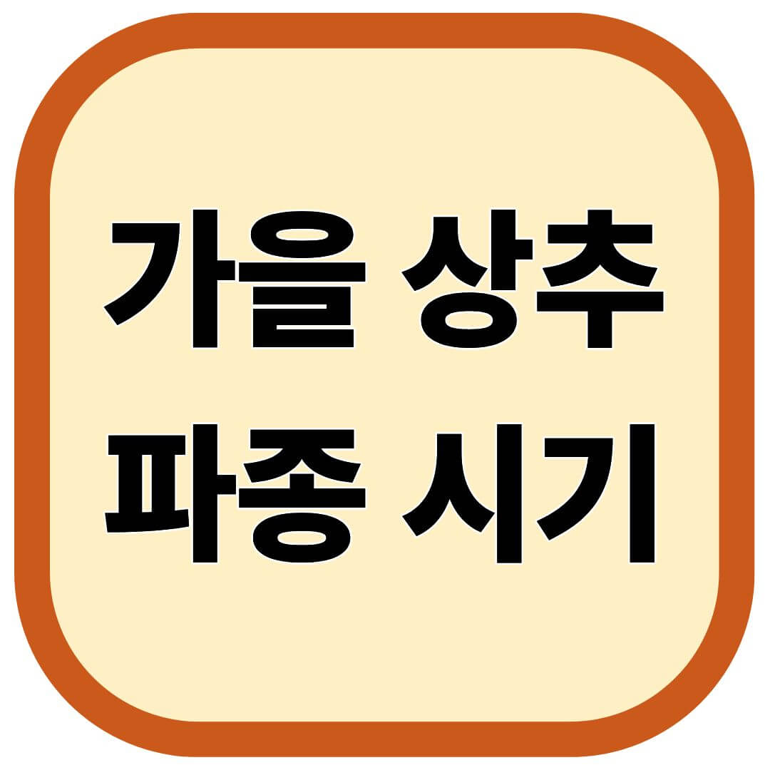 가을 상추 파종 시기