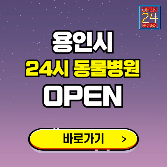 용인시 24시 동물병원 진료하는 곳 ❘ 설날 휴일 야간 심야 문여는곳 찾기 ❘ 응급진료